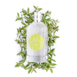 Eau de Toilette Prickelnde Verbene 100ml