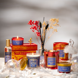 Floraler Duftdiffuser 95ml NOEL 2026  Ballerina
